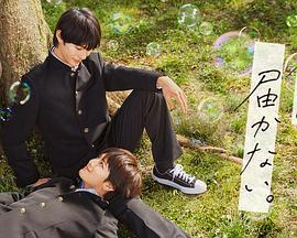 珠宝行业网站优化技术